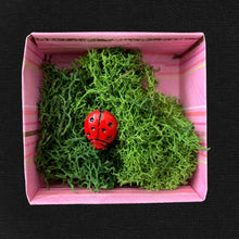 Load image into Gallery viewer, Elaborate Box with Ladybug
