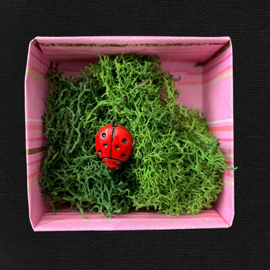 Elaborate Box with Ladybug