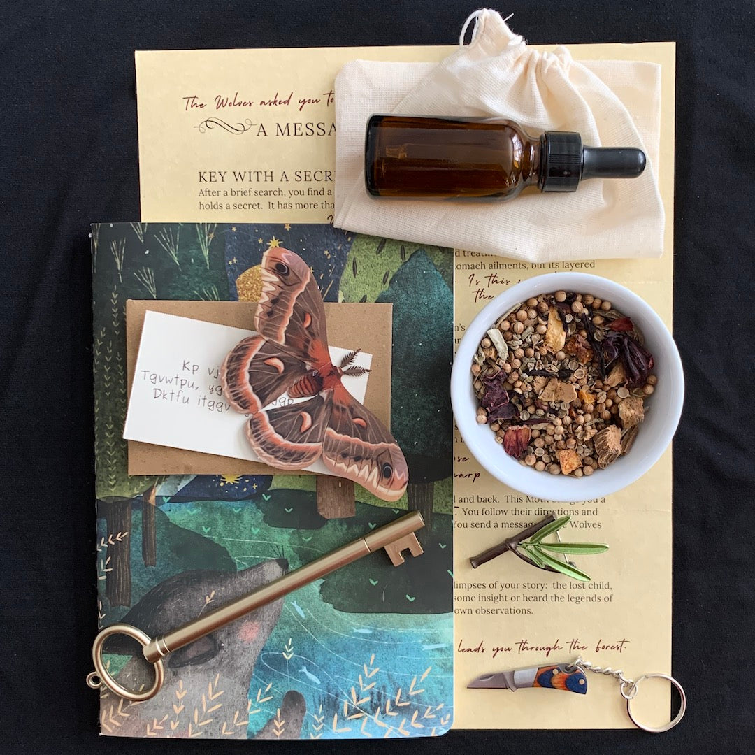 The Locked Cabin - One-Time Box Purchase – Birdmoss