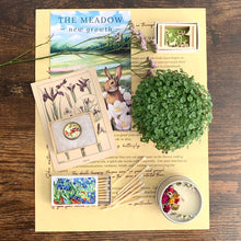 Load image into Gallery viewer, The Meadow - One-Time Box Purchase
