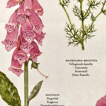 Load image into Gallery viewer, Visual Guide to Remedies and Poisons - Floral Tea Towel
