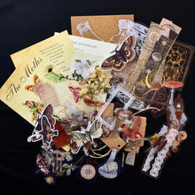 Load image into Gallery viewer, The Moths Collage Kit - Stickers and Paper Ephemera for Scrapbooking
