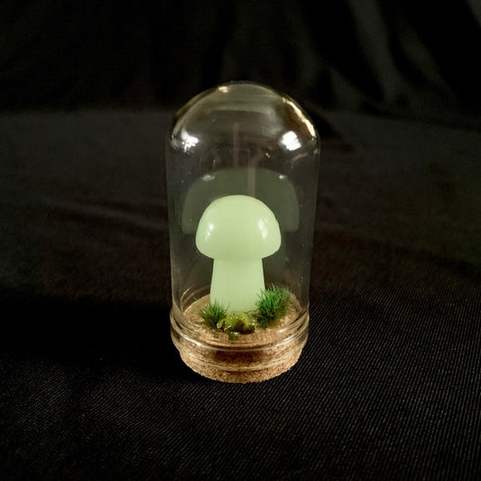 Glowing Mushroom - Mini Terrarium