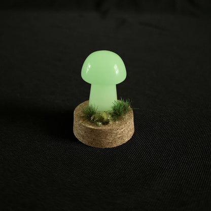 Glowing Mushroom - Mini Terrarium