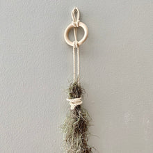 Load image into Gallery viewer, Nest of Moss - Spanish Moss Air Plant
