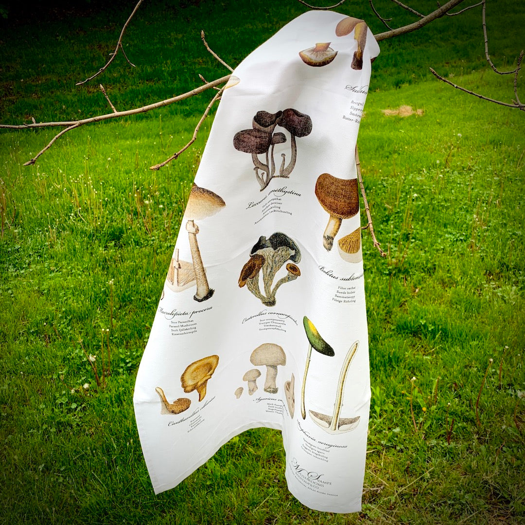 Visual Guide to Mushrooms - Tea Towel